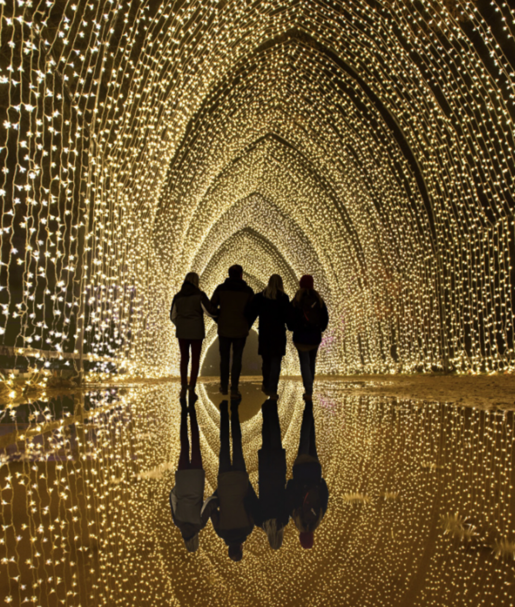 Proposal Lightscape Lightscape