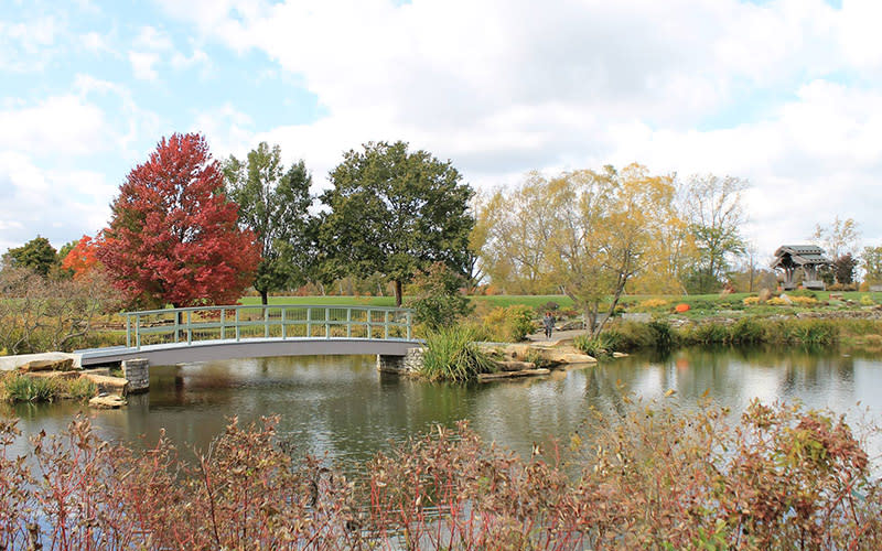 Cox Arboretum MetroPark
