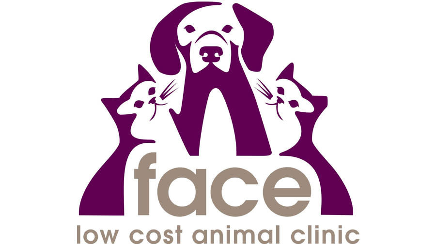 Low income cheap animal hospital