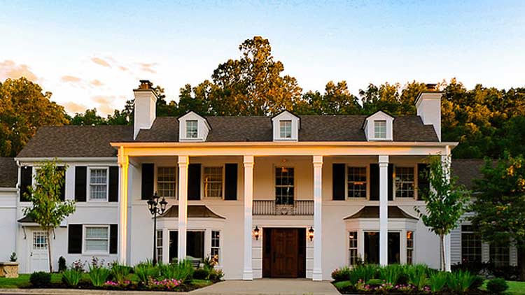 The black iris estate on sale