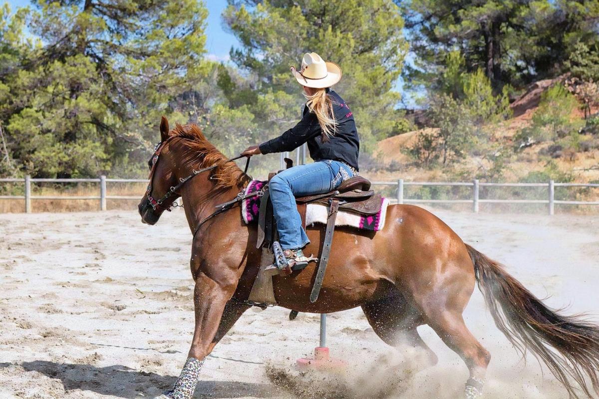 Rednil Riding Stables RNR Stables