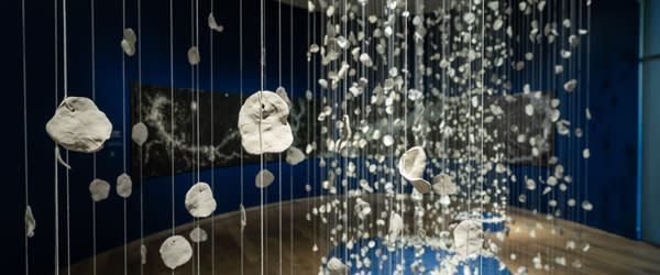 Realm of Wonder: Izumi Yokoyama