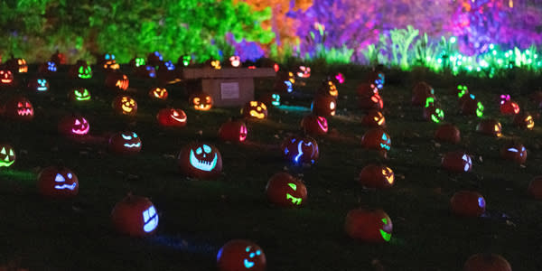 Glow at the Gardens™