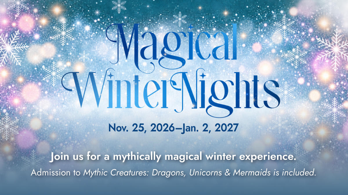 Magical Winter Nights
