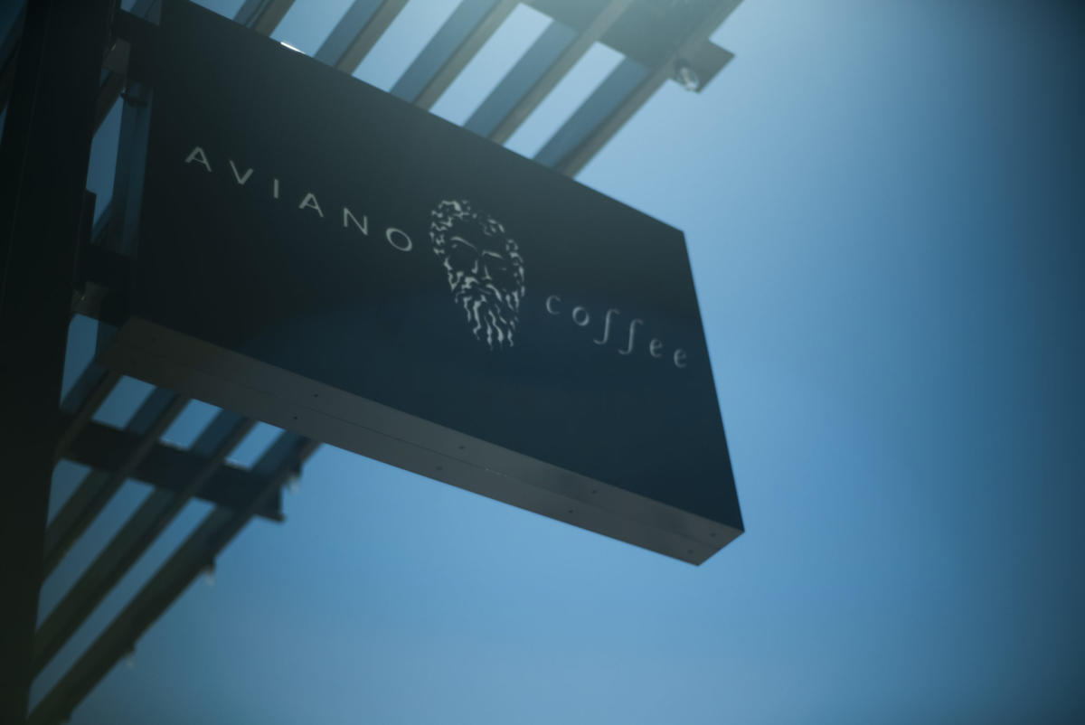 Aviano - Detroit