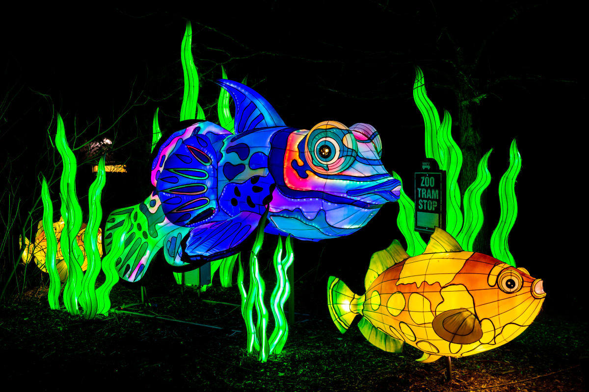 Bright Nights at Four Mile