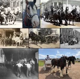 Pumpers and Percherons