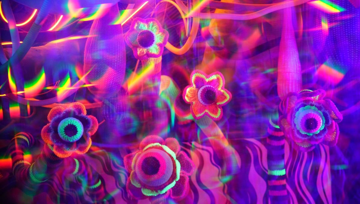 The Tangled Self