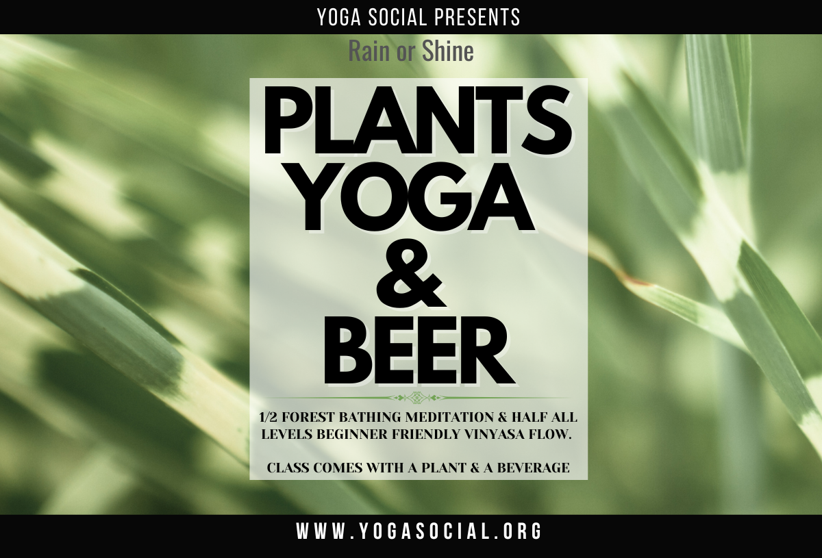 Plants, Yoga & Beer