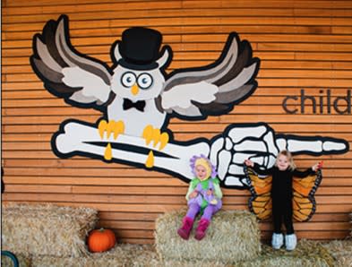 Harvest Hoot