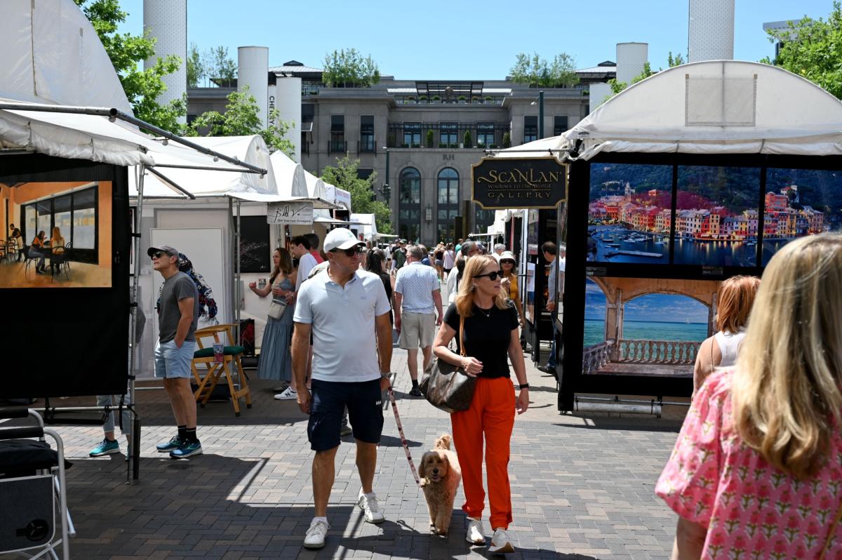 Smash Fine Arts Festival