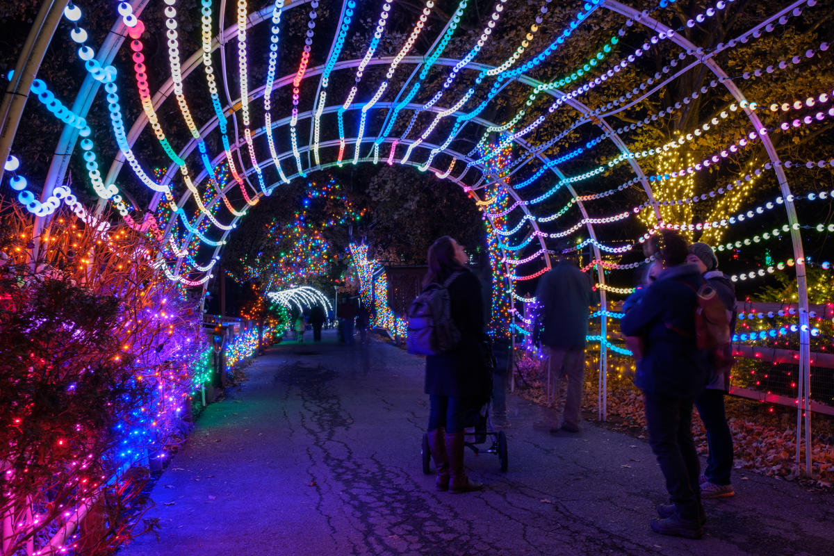 Winter Light Spectacular