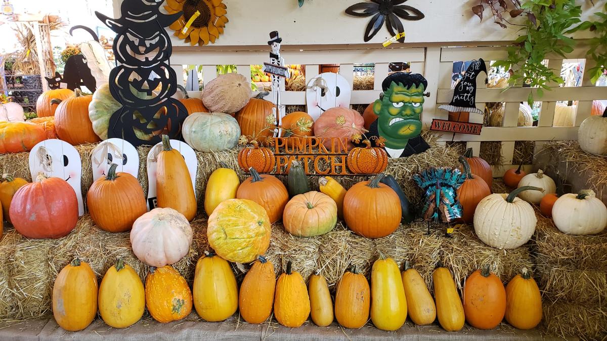 Fall Festival at Oakland Nursery — Family fun in Oakland Nursery · Dublin, OH