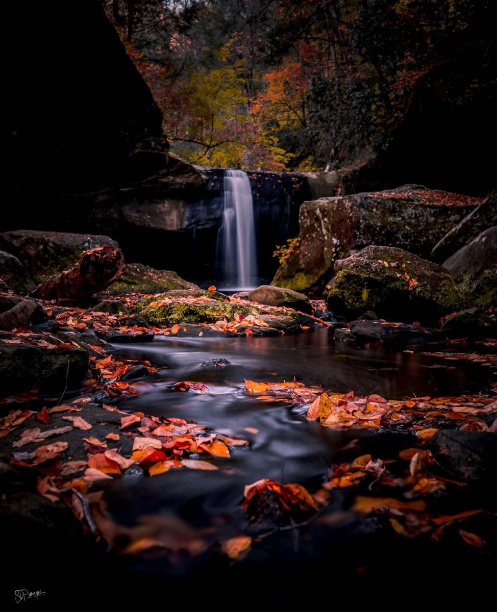 Dog Slaughter Falls - Corbin