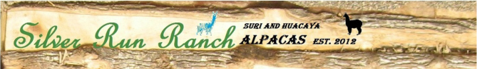 Silver Run Ranch Silver Run Ranch Alpacas