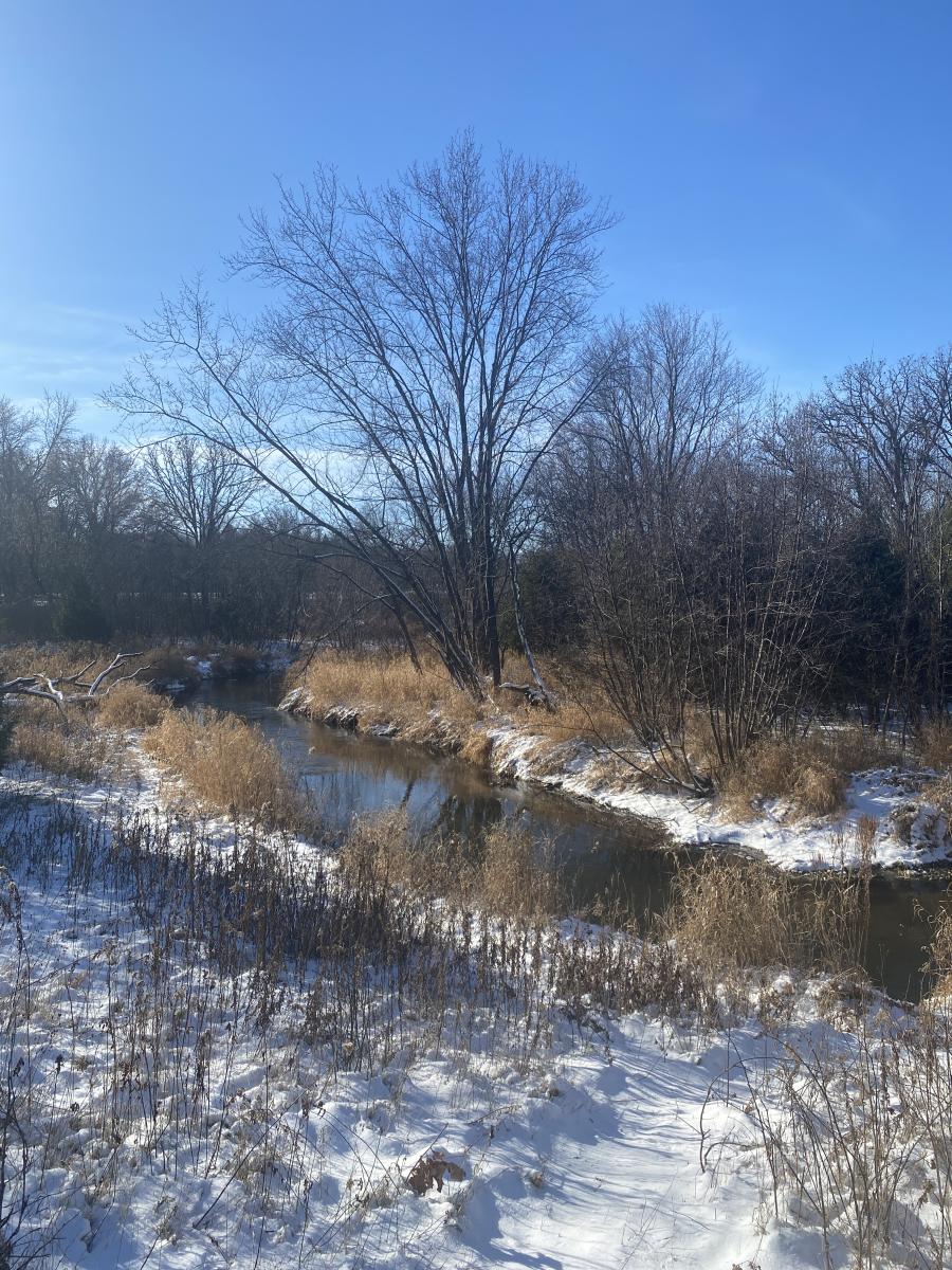 Elk Creek State Public Fishing Area Elk Mound, WI 54739