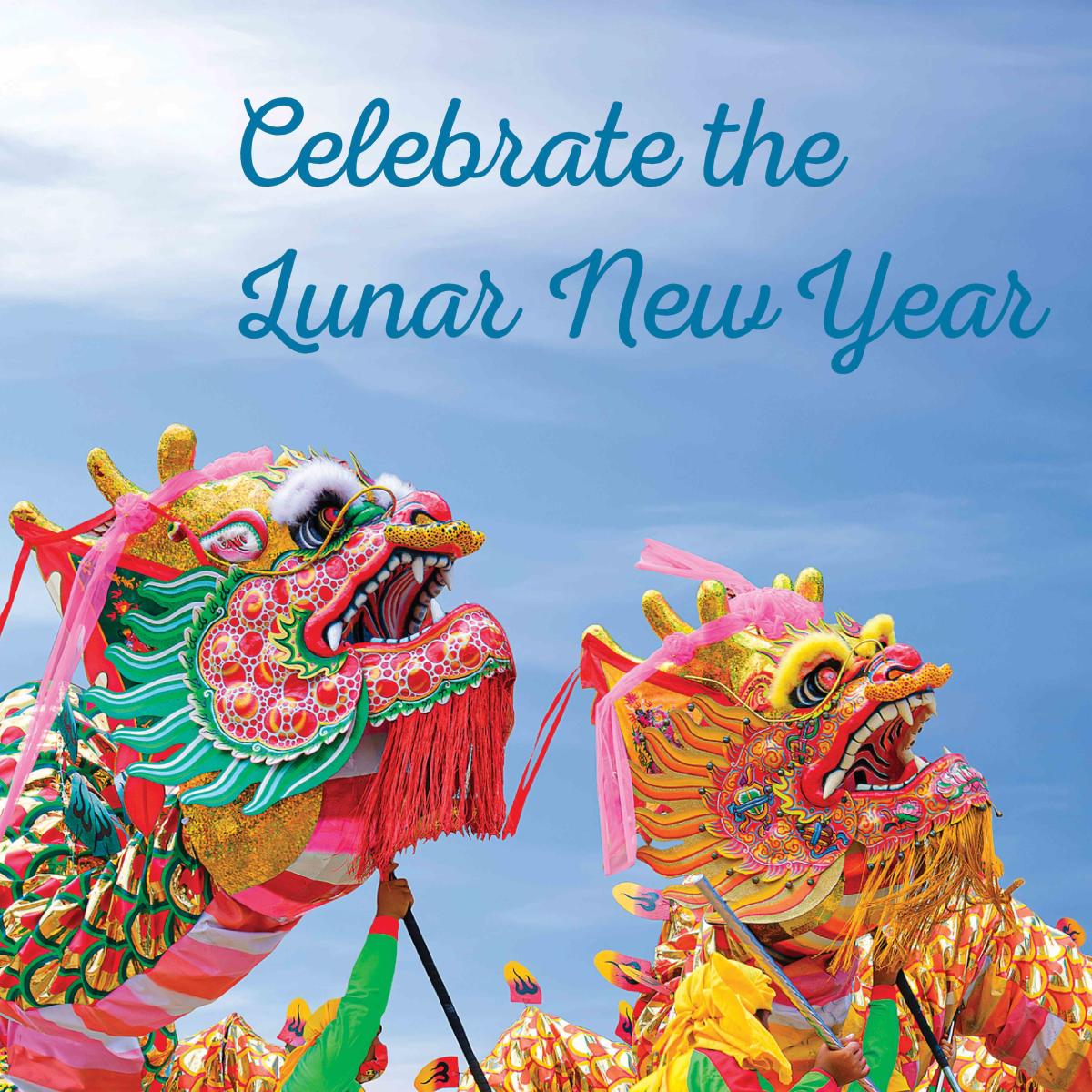 how does vietnam celebrate chinese new year