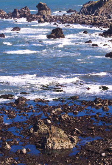Passaick Rocks Wedding Rock