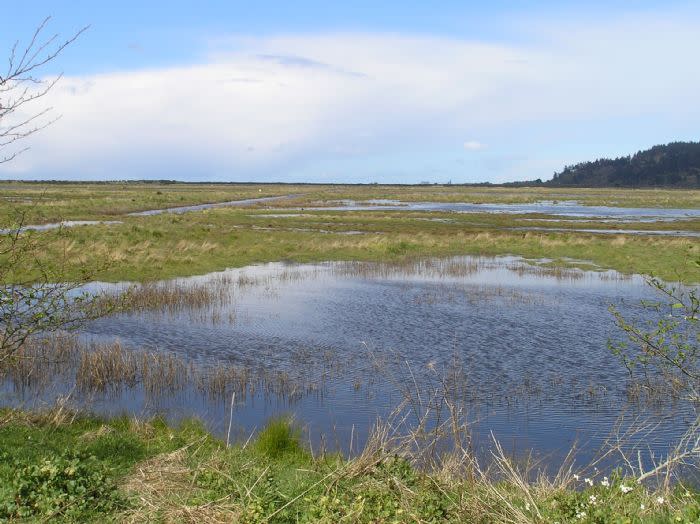 Humboldt Bay Wildlife Refuge