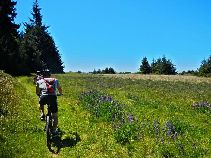 Mountain bike trails northern california sales