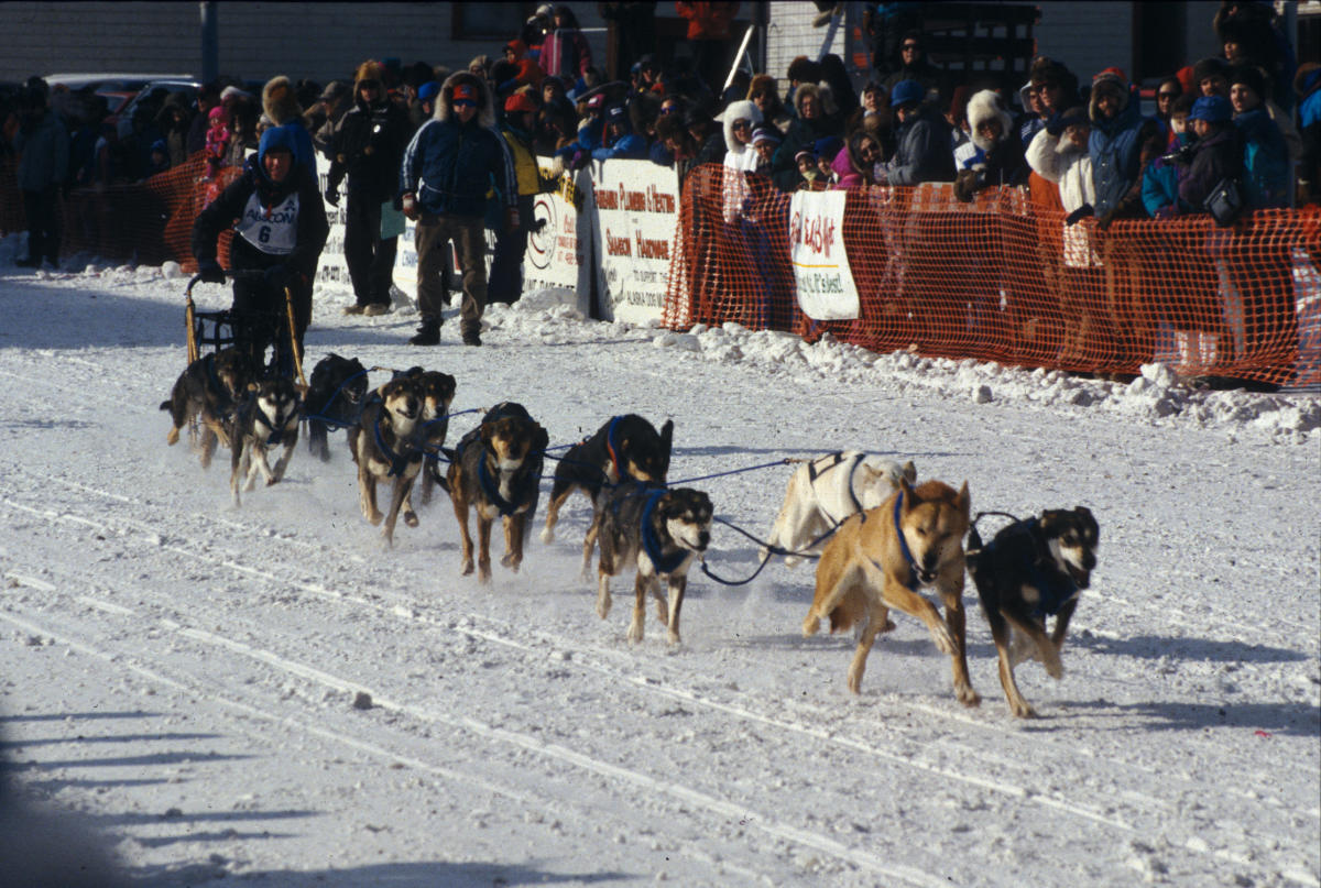 Yukon Quest Alaska Dog Sled Race Sled Dog Racing Team Kathy Hedges 91411874 5056 A36A 0B93574F53FCFC02 9143c87a 5056 A36a 0b01cf2d010f6cbf