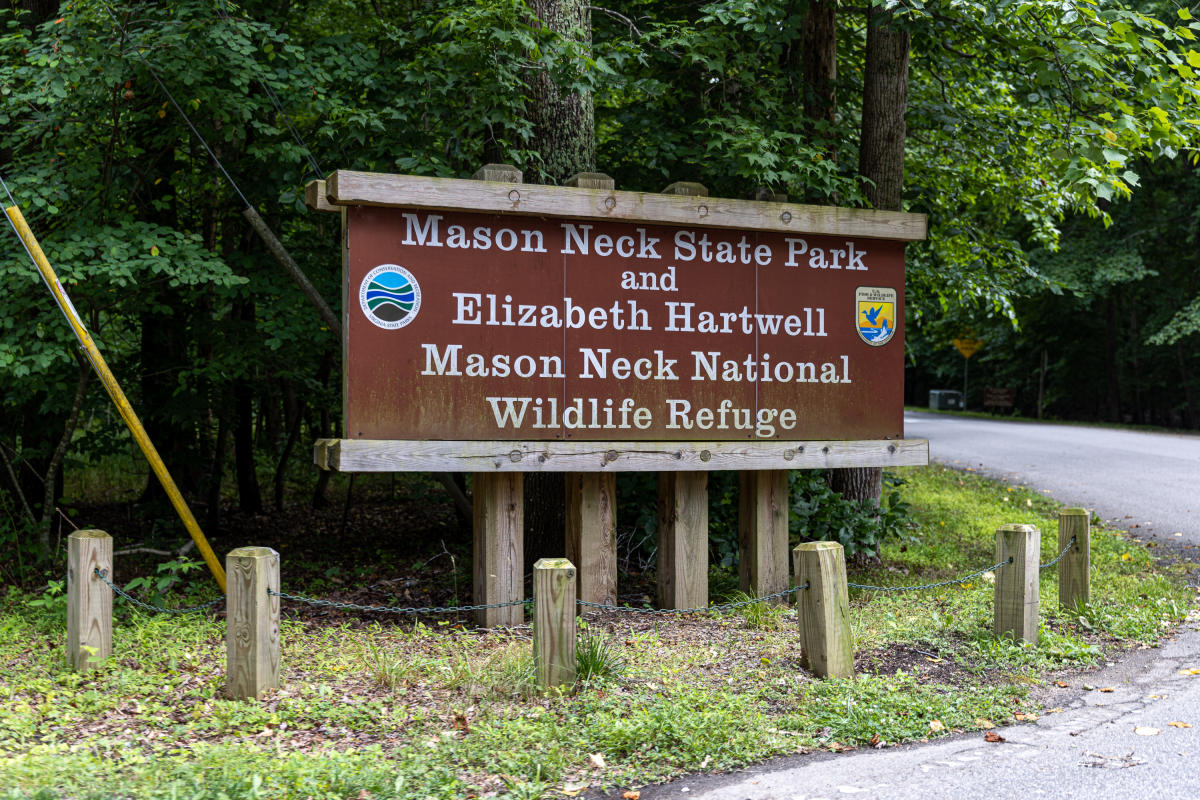 Elizabeth Hartwell Mason Neck National Wildlife Refuge