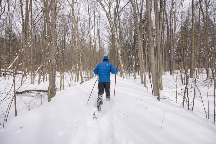 Snowshoe Hiking Adventure