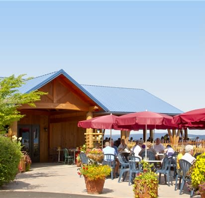Bully top hill winery