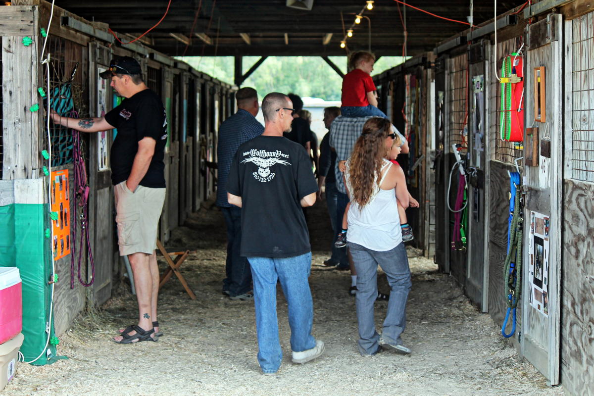 Genesee County Fair