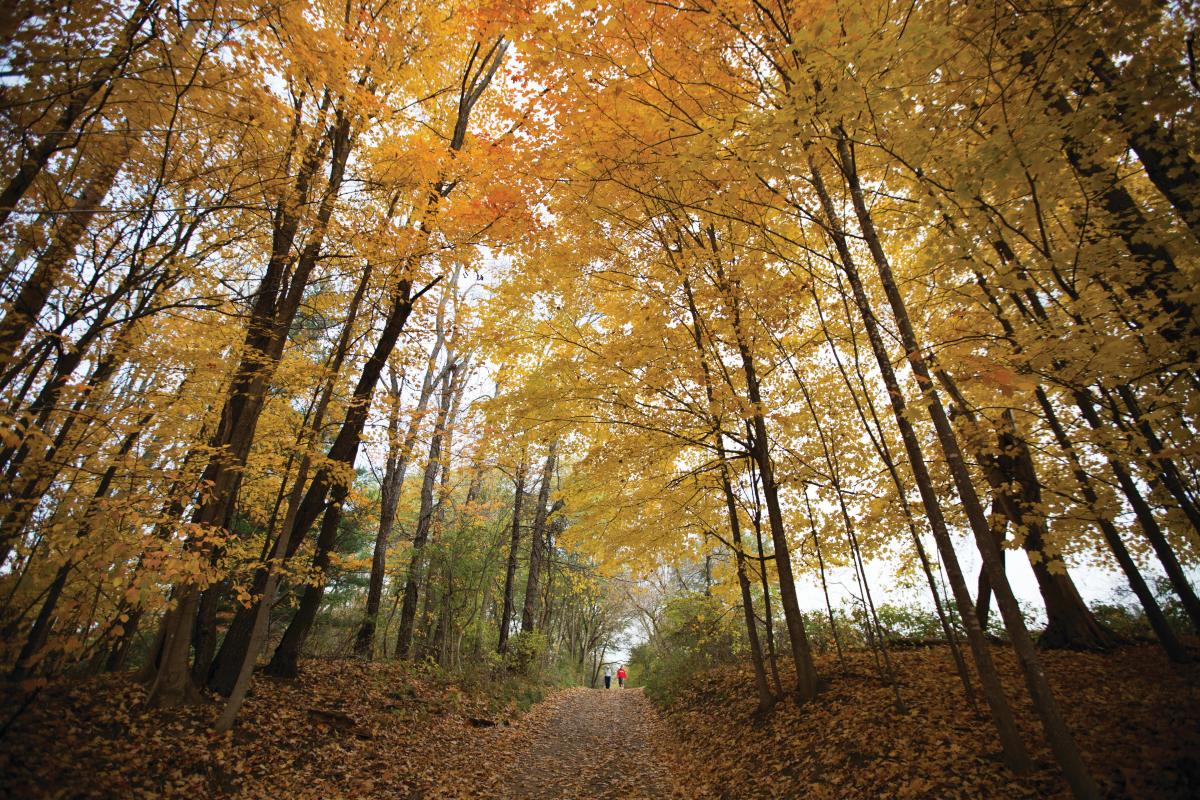 Nature at the Library Season’s Wonders