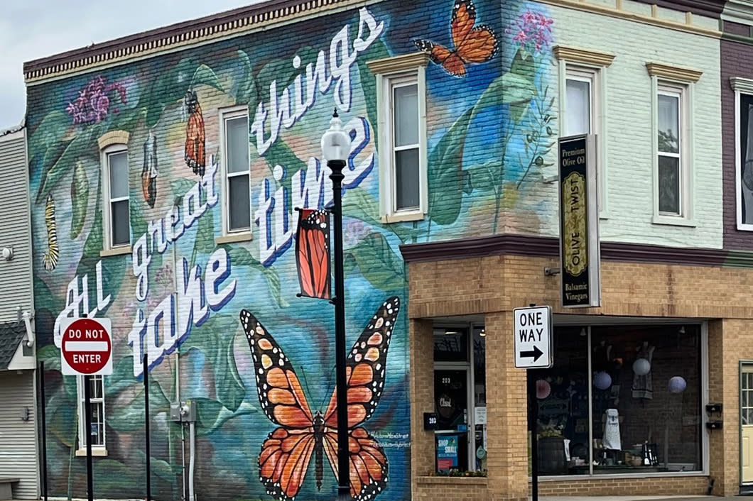 The Olive Twist Auburn