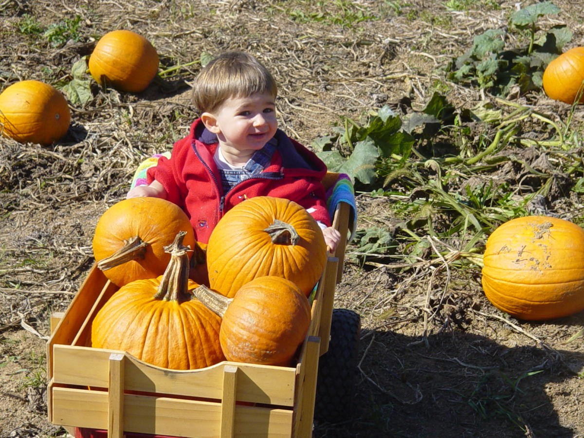 Gaver Farm