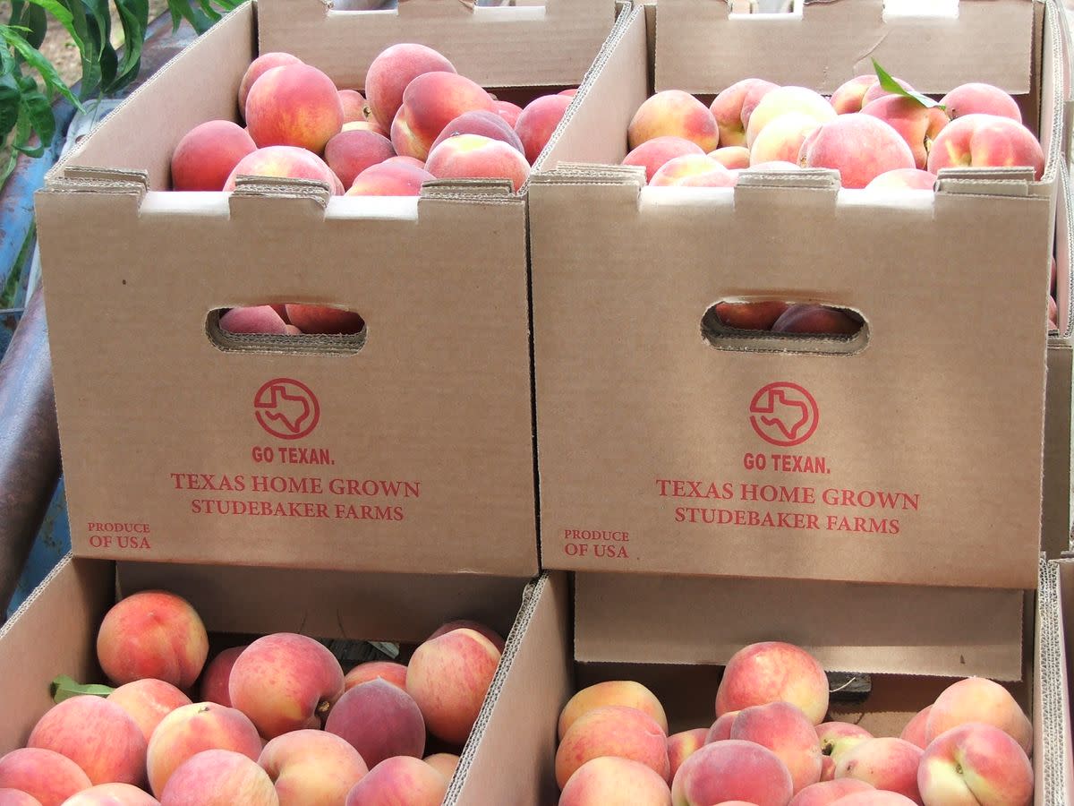 Studebaker Farms | Peaches