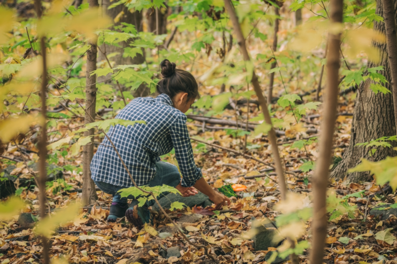 Foraging Hike   Salve Making Galena IL