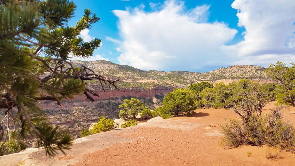 Canyon Rim Trail | Fruita, CO
