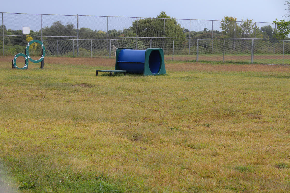 Covell Dog Park Grand Rapids MI, 49504