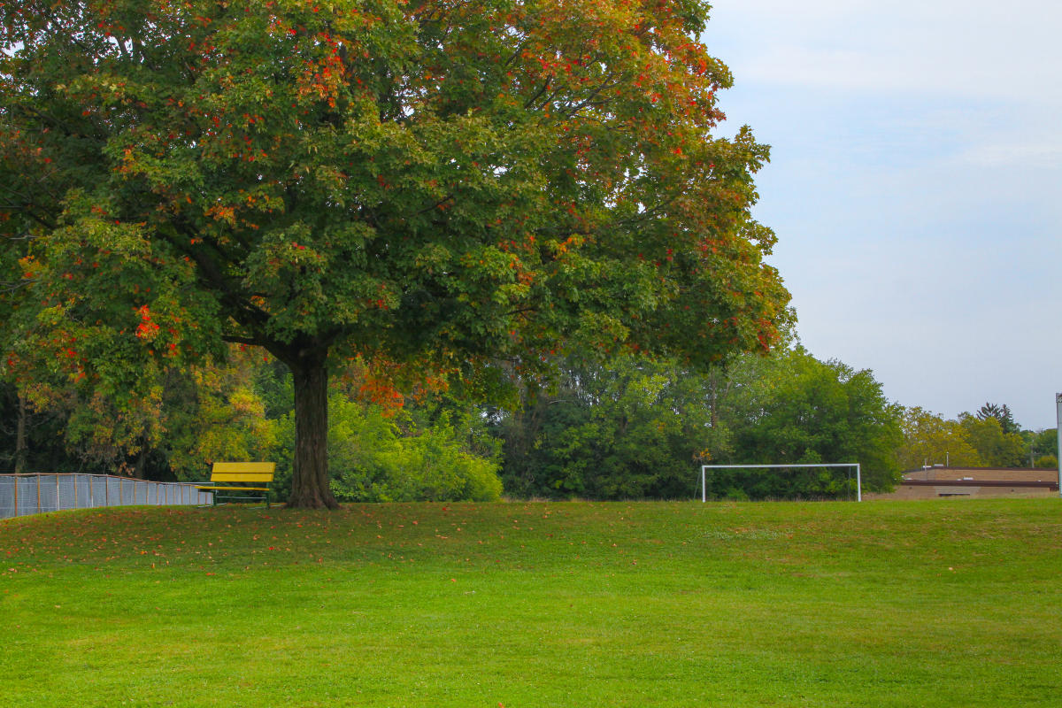 Hillcrest Dog Park Grand Rapids MI, 49503