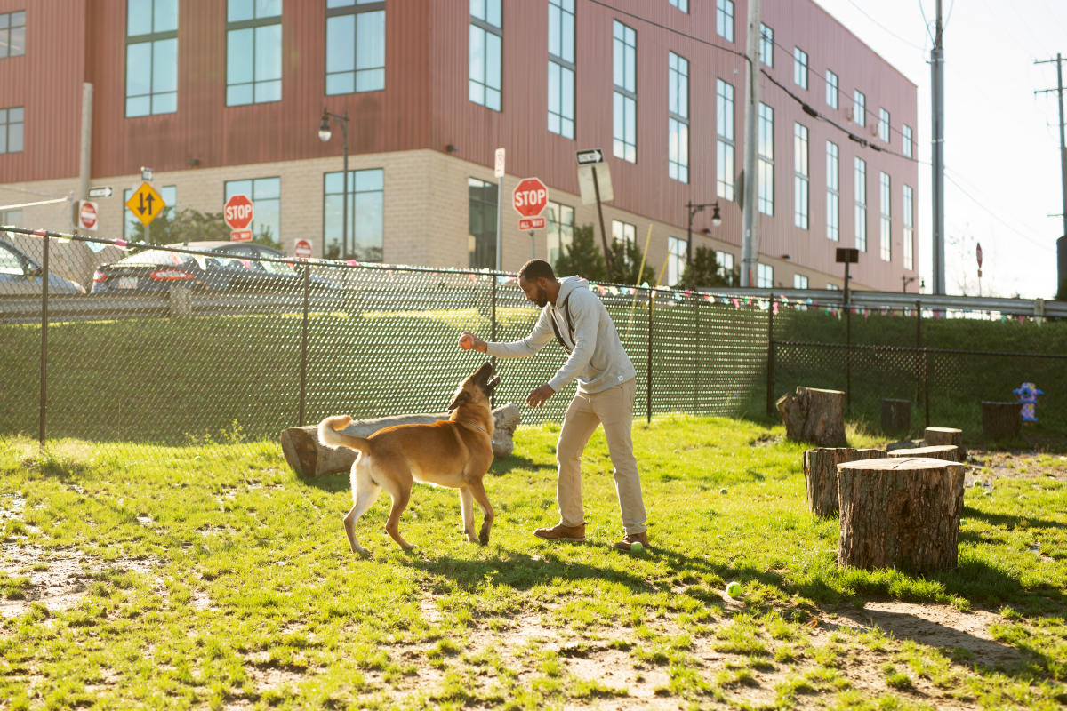 Downtown Dog Park Grand Rapids Grand Rapids MI, 49503