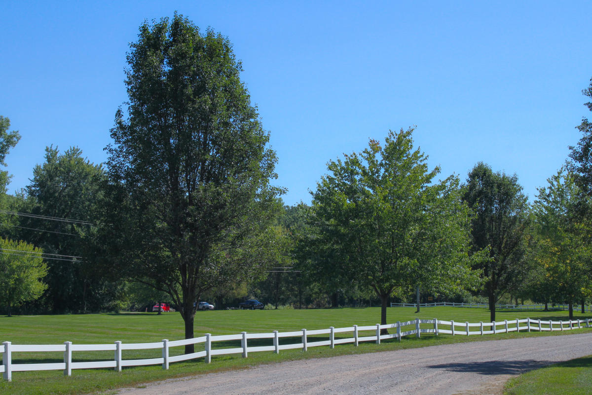 Lowell Recreation Park Lowell MI, 49331