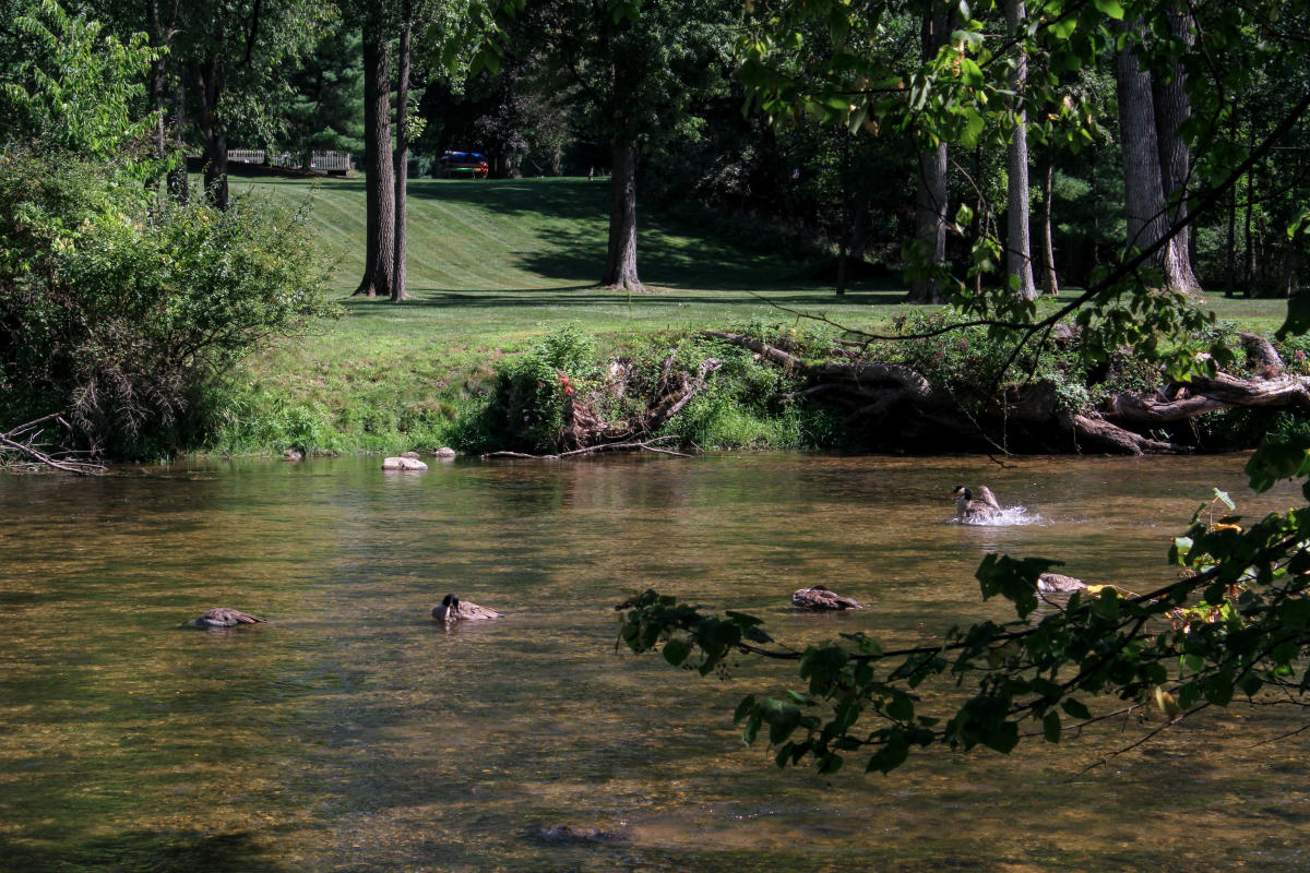 Rogue River Park Belmont MI, 49306