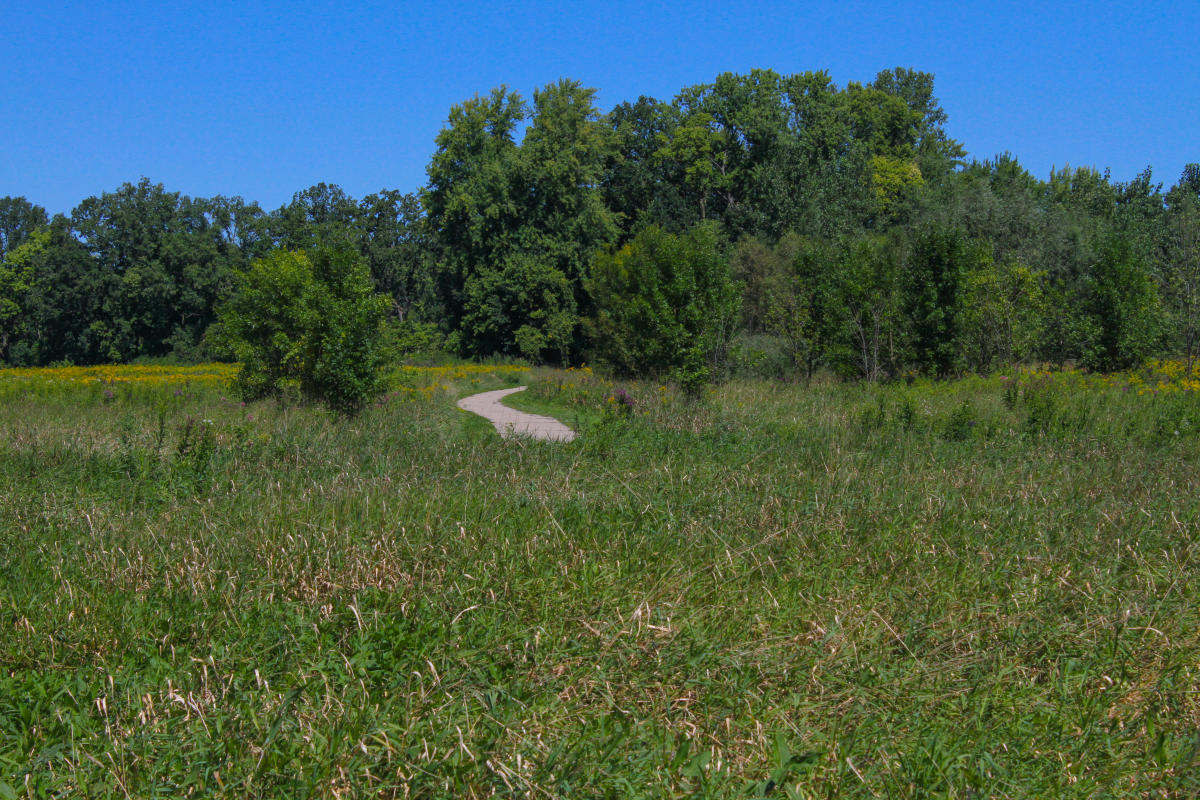 Roselle Park Loop Ada MI, 49301