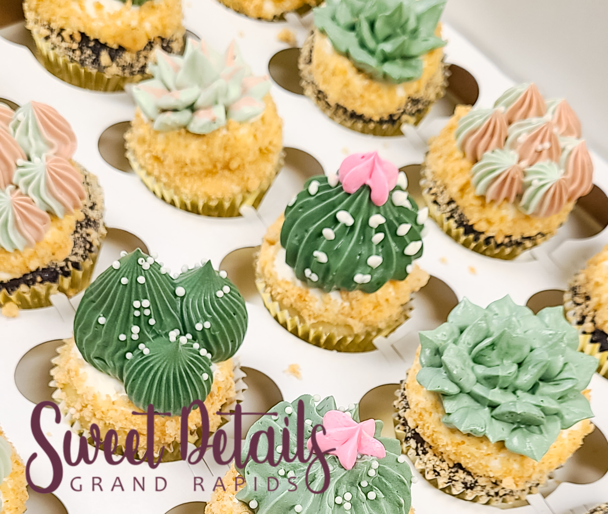 Succulents Cupcake Decorating Class Grand Rapids MI, 49525
