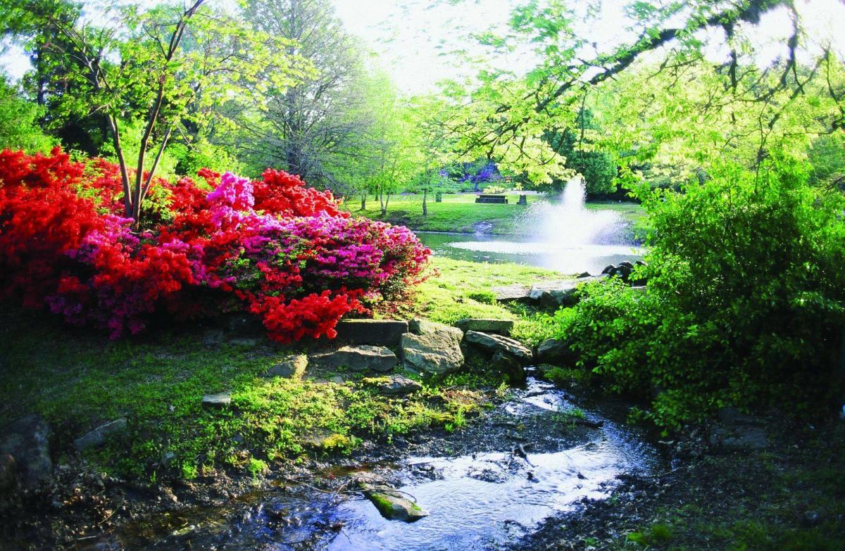 Azalea Festival 2023 Green Country Oklahoma Official Site