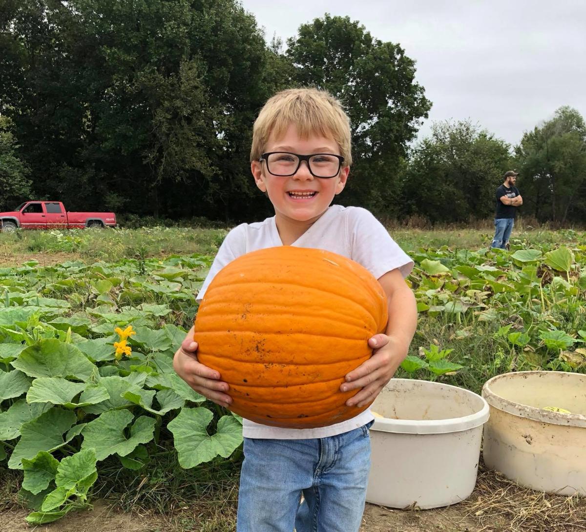 the-country-bumpkin-pumpkin-patch-green-country-oklahoma-official-site