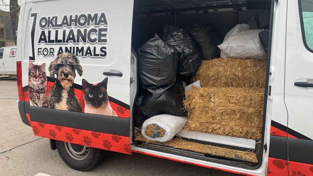 Oklahoma Rescue Oklahoma Alliance for Animals Rock & Rescue | Green Country Oklahoma ...