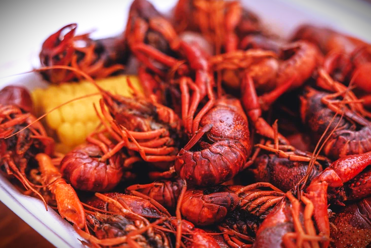 Tahlequah Crawfish Fest 2025 Green Country Oklahoma Official Site Tahlequah Crawfish Festival 5 3 2 46D9475A AD09 DF5A 8A2C6C88EC82C361 46e1f0f4 938b 663c Efd4252c5fa72584