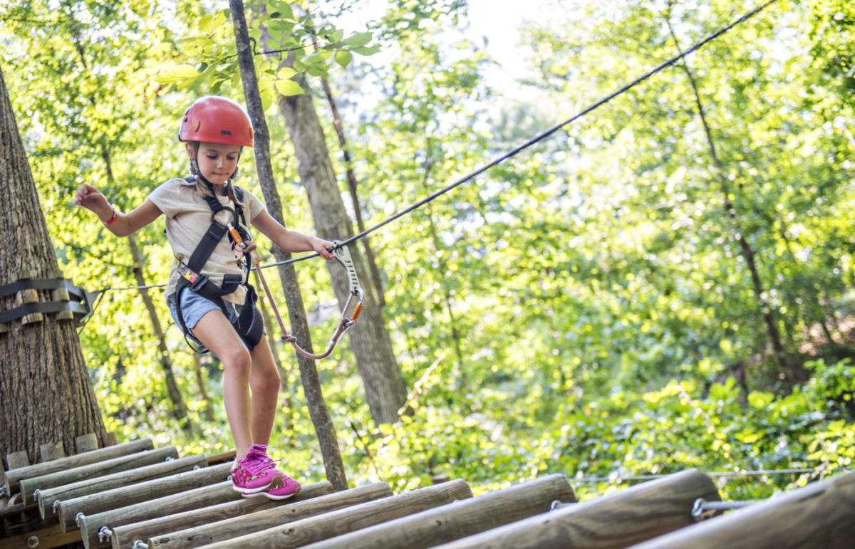 20 OFF AT TREETOP QUEST