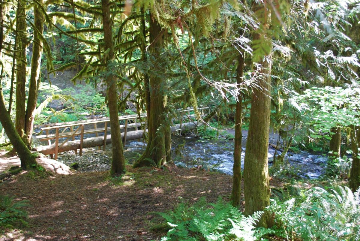 Maple Creek Park County, GA