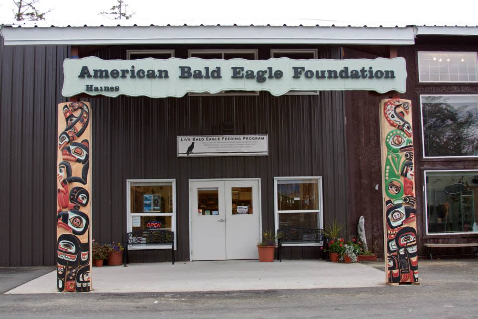 American Bald Eagle Foundation