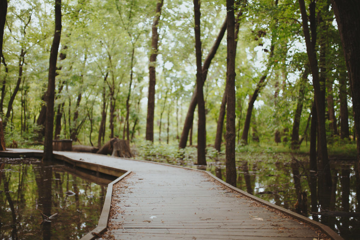 Ritchey Woods Nature Preserve